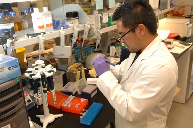 Laboratory background